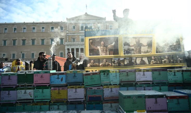 Η συγκέντρωση των μελισσοκόμων στο Σύνταγμα σε εικόνες
