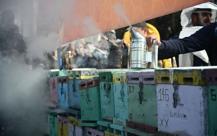 Η συγκέντρωση των μελισσοκόμων στο Σύνταγμα σε εικόνες