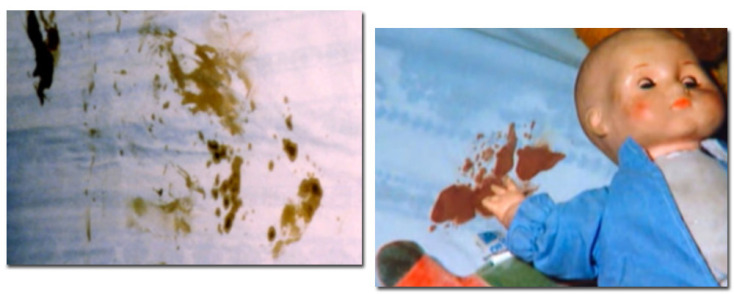 Η δολοφονία της οικογένειας Νιούμαν