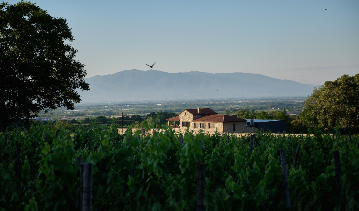 Kτήμα Θυμιόπουλου