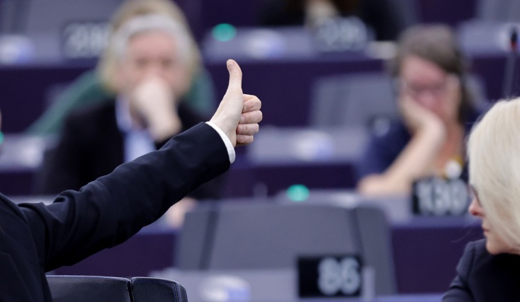 Ευρωπαϊκό Κοινοβούλιο: Εγκρίθηκε ο νόμος για την αποκατάσταση της φύσης - Εν μέσω αντιδράσεων των αγροτών και του ΕΛΚ. 