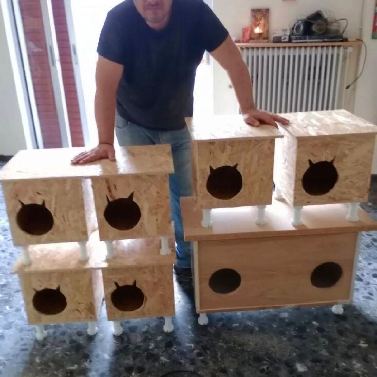 Σπιτάκια για αδέσποτα ζώα