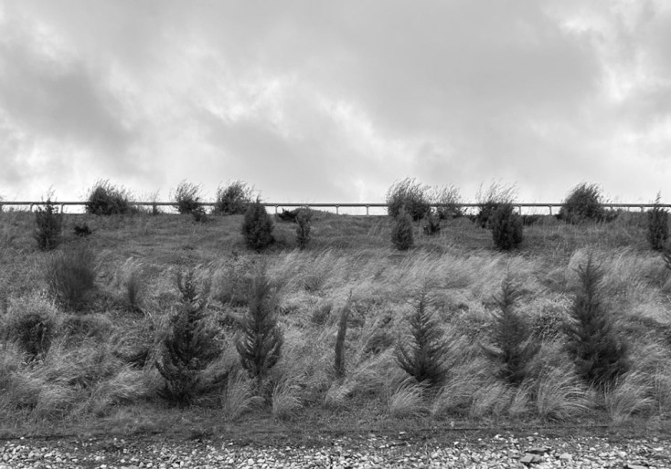 Μνημόσυνο Τέμπη