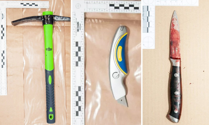 Η δολοφονία της Μόλι Μακλάρεν με 75 μαχαιριές