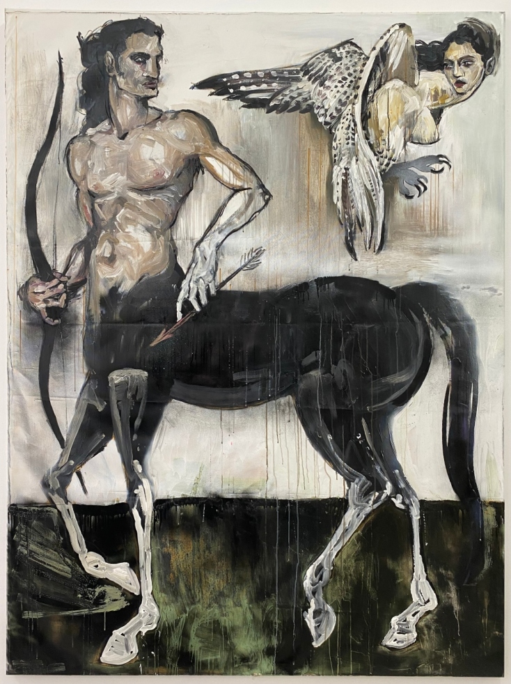 Ζώης Γέρος, "Κυνήγι Άρπυιας"