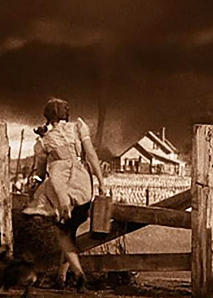 Untitled #125 (Hickory), 2011