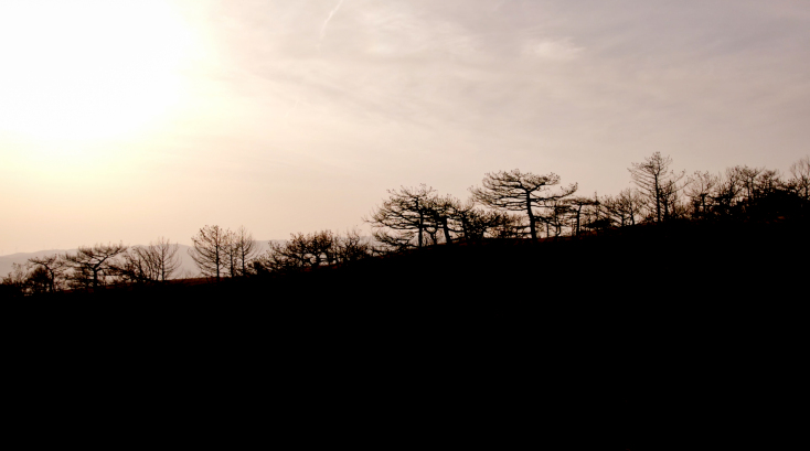 Έβρος – 17 μέρες μετά: Ο Σάκης Γιούμπασης μιλάει για το φιλμ που προβάλλεται στο 26ο Φεστιβάλ Ντοκιμαντέρ Θεσσαλονίκης