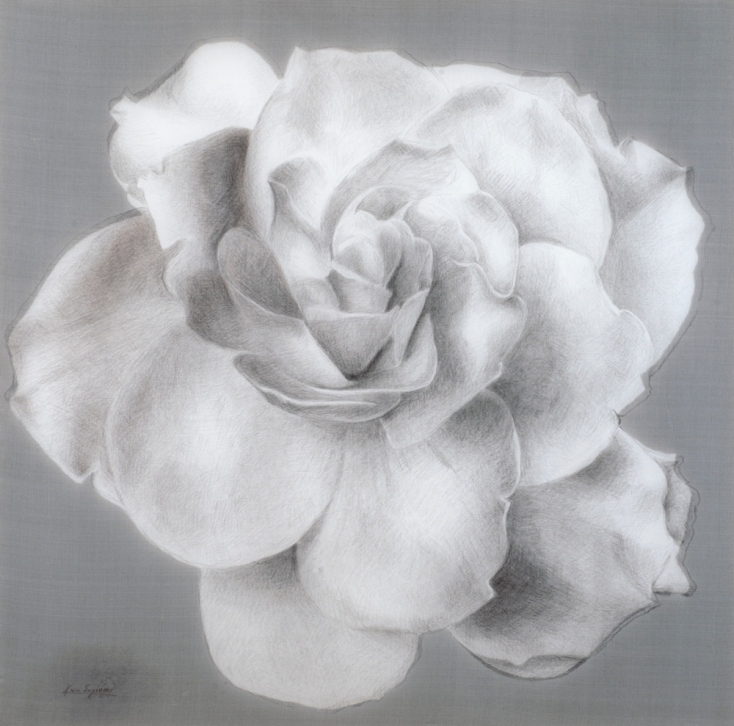 Κωνσταντίνα Συλίκου, "Άρωμα γαρδένιας"