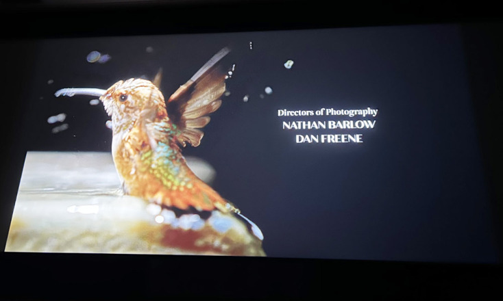 Μέρες σινεμά στο Φεστιβάλ Ντοκιμαντέρ Θεσσαλονίκης