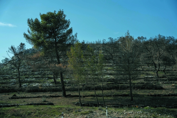 Όμιλος ΓΕΚ ΤΕΡΝΑ:  Σταθερά δίπλα στην κοινωνία 