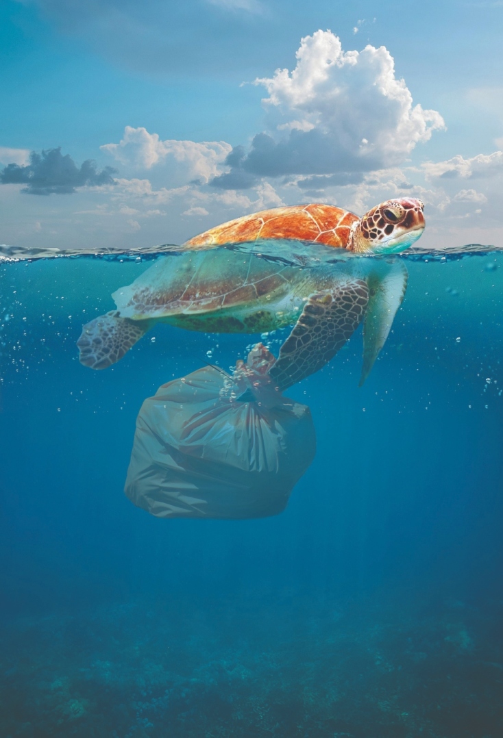 Τι κάνει η Ευρώπη για να πατάξει το περιβαλλοντικό έγκλημα;  