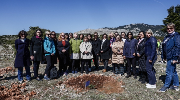 17 γυναίκες πρέσβεις μαζί με την κ. Σακελλαροπούλου στη δενδροφύτευση στην Πάρνηθα