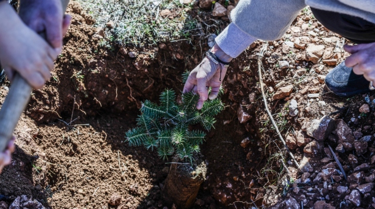 Η προστασία και στην αποκατάσταση των δασικών οικοσυστημάτων στο επίκεντρο