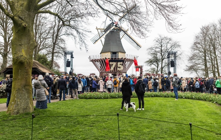 Ολλανδία: 75α γενέθλια για τον κήπο του Κέκενχοφ - Ο μεγαλύτερος με τουλίπες στον κόσμο - Αναμένει εκατοντάδες χιλιάδες επισκέπτες.
