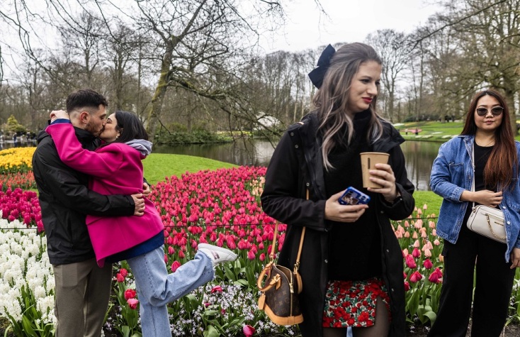 Ολλανδία: 75α γενέθλια για τον κήπο του Κέκενχοφ - Ο μεγαλύτερος με τουλίπες στον κόσμο - Αναμένει εκατοντάδες χιλιάδες επισκέπτες.
