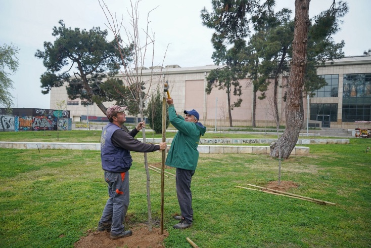 Θεσσαλονίκη: Ξεκίνησε η φύτευση 500 νέων δέντρων στη Νέα Παραλία - Προτεραιότητα η πράσινη και βιώσιμη πόλη, δηλώνει ο δήμαρχος Στέλιος Αγγελούδης.