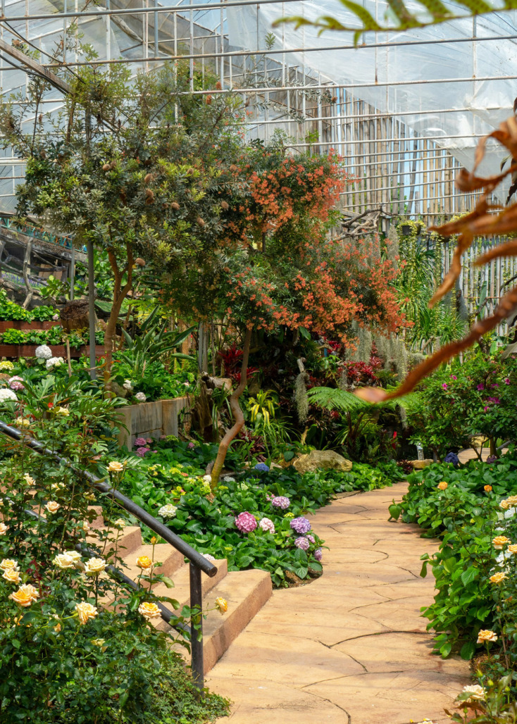 Κήπος με «εντοπιότητα»