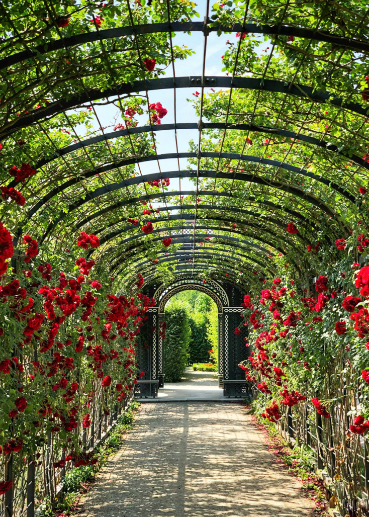 Νεραϊδόκηπος