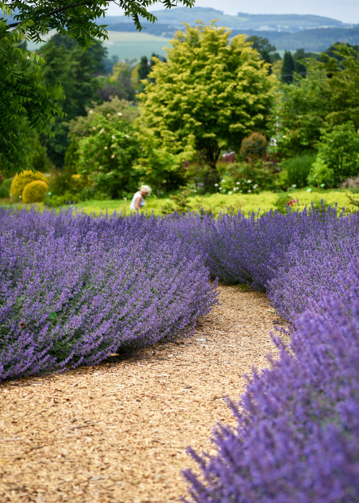 Κήπος «Mocktail»