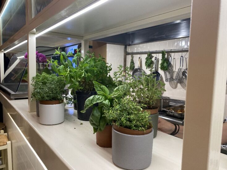 Koutsou & Co, νέο εστιατόριο στο Σύνταγμα