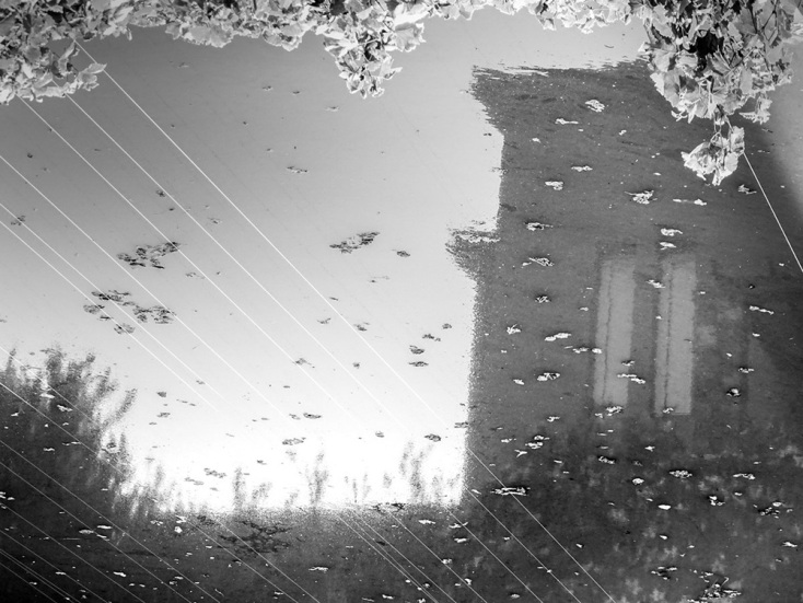 Η ποιητική ματιά της φωτογράφου Βάλιας Γκέντσου