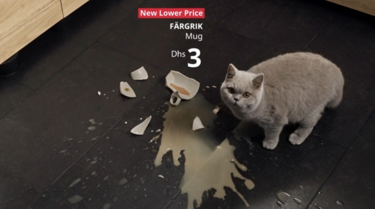 15 κορυφαίες διαφημίσεις με πρωταγωνίστριες γατούλες