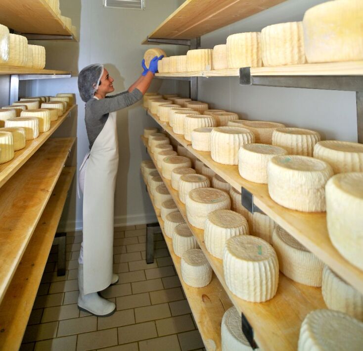 Κατερίνα Μόσχου