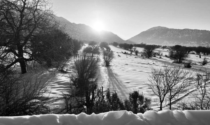 Δάφνη Μανουσάκη