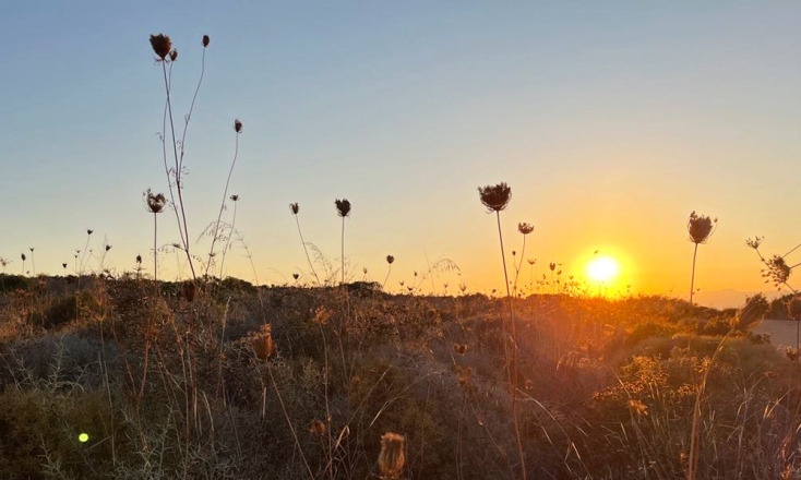 Δάφνη Μανουσάκη