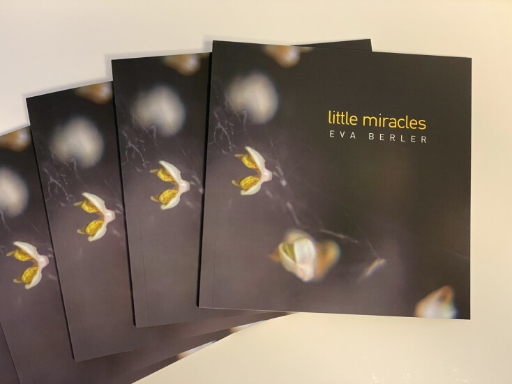 Εύα Μπέρλερ