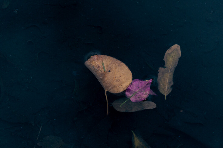 Εύα Μπέρλερ: «Με ενδιαφέρει να αναδείξω την ομορφιά και τη μαγεία του αθέατου»