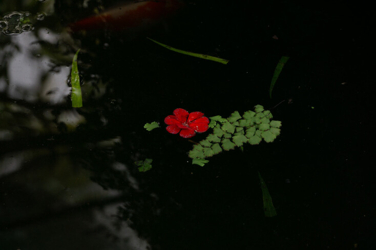 Εύα Μπέρλερ: «Με ενδιαφέρει να αναδείξω την ομορφιά και τη μαγεία του αθέατου»