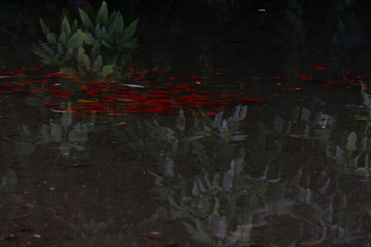 Εύα Μπέρλερ: «Με ενδιαφέρει να αναδείξω την ομορφιά και τη μαγεία του αθέατου»