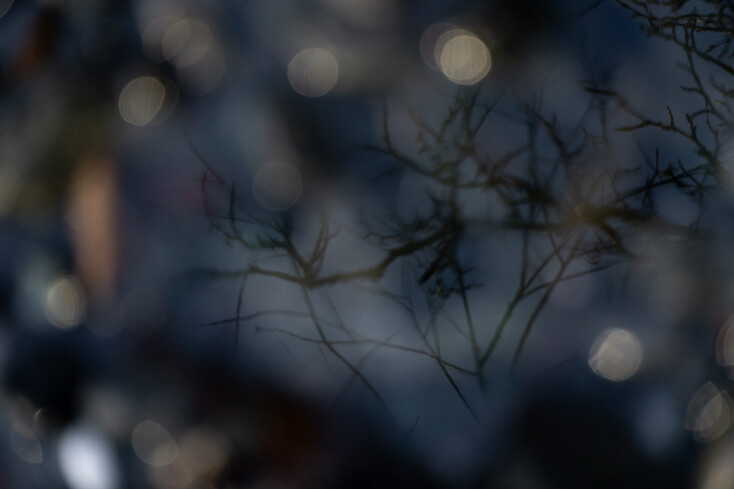 Εύα Μπέρλερ: «Με ενδιαφέρει να αναδείξω την ομορφιά και τη μαγεία του αθέατου»