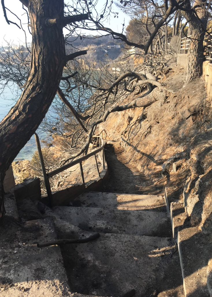 Μαρίνα Καρύδα: Μάτι 23 Ιουλίου 2018