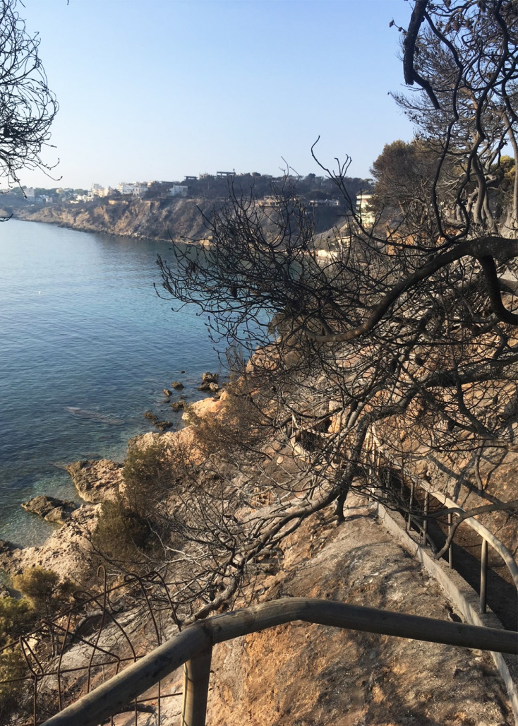 Μαρίνα Καρύδα: Μάτι 23 Ιουλίου 2018