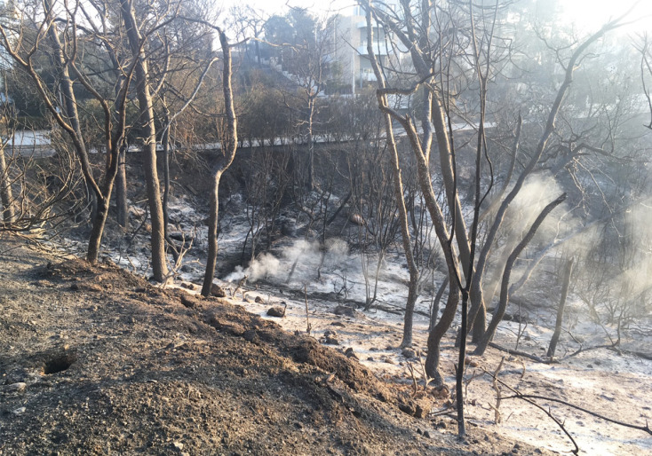 Μαρίνα Καρύδα: Μάτι 23 Ιουλίου 2018