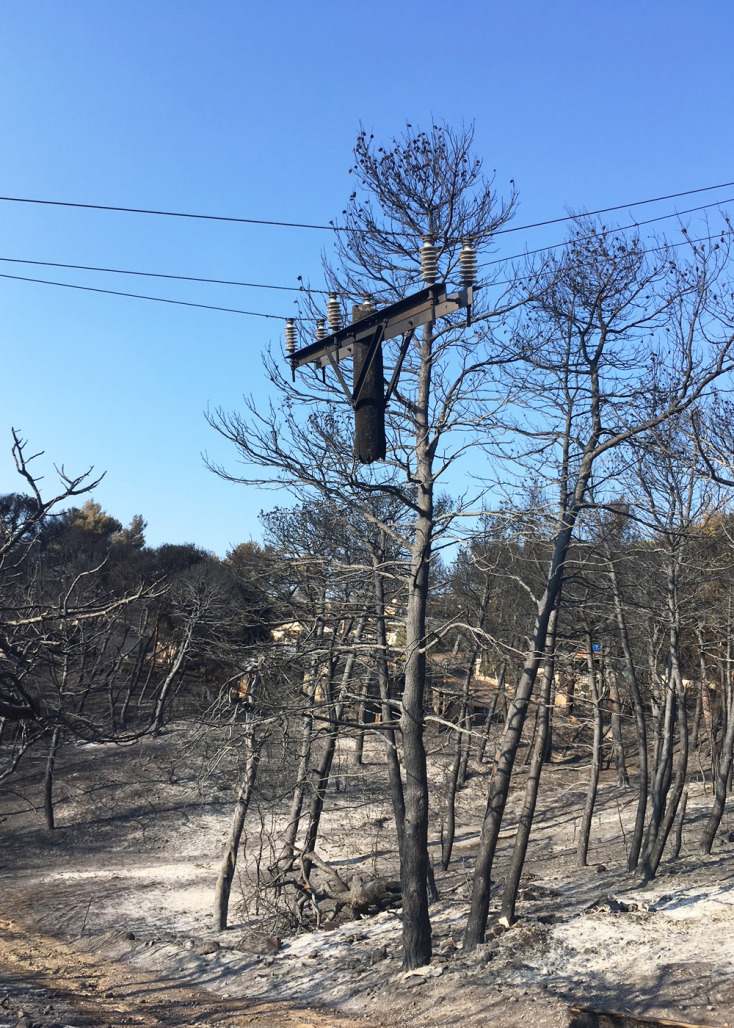 Μαρίνα Καρύδα: Μάτι 23 Ιουλίου 2018