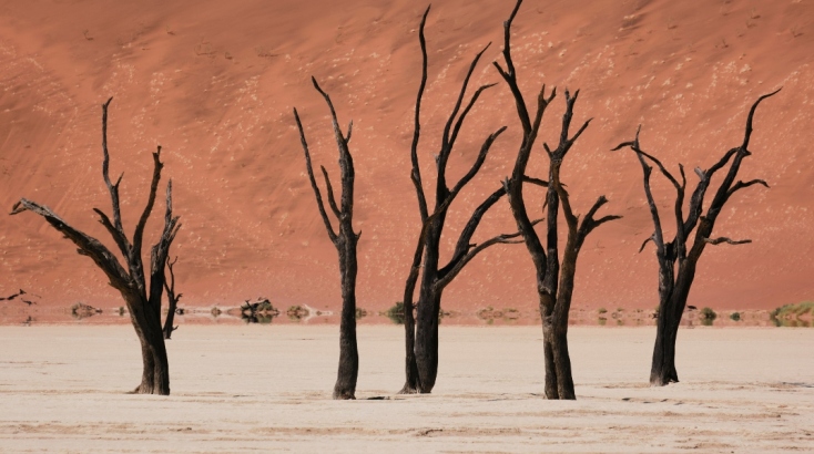 Ο κόσμος έζησε (και) τον Απρίλιο «εξαιρετικές» θερμοκρασίες