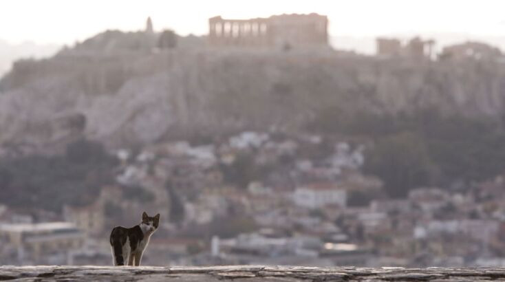 Ιδανική πόλη διαβίωσης: Νέα έρευνα ανέλυσε 39 ευρωπαϊκές πόλεις - Στην τελευταία θέση η Αθήνα, στην 32η θέση της κατάταξης η Θεσσαλονίκη.