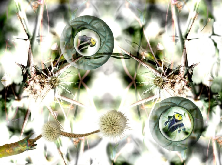 Άννα Αμπαριώτου, "Οι κοσμοναύτες" (2023)