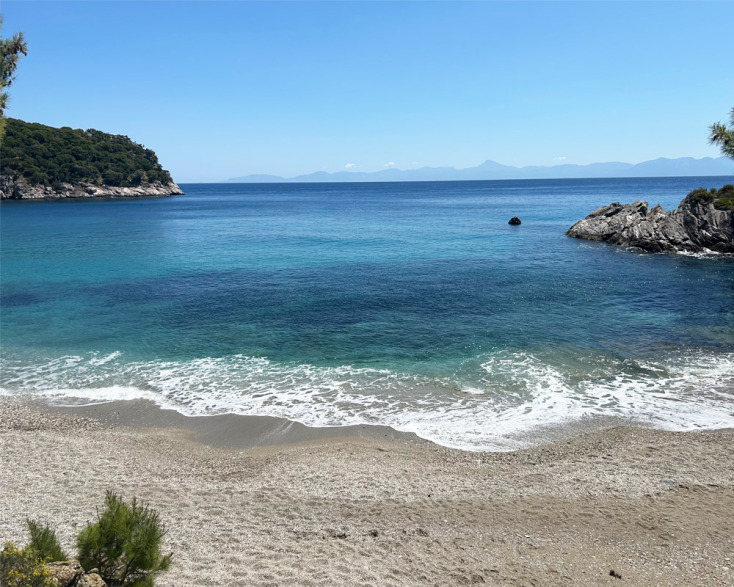 Φεστιβάλ Λογοτεχνίας Σκοπέλου