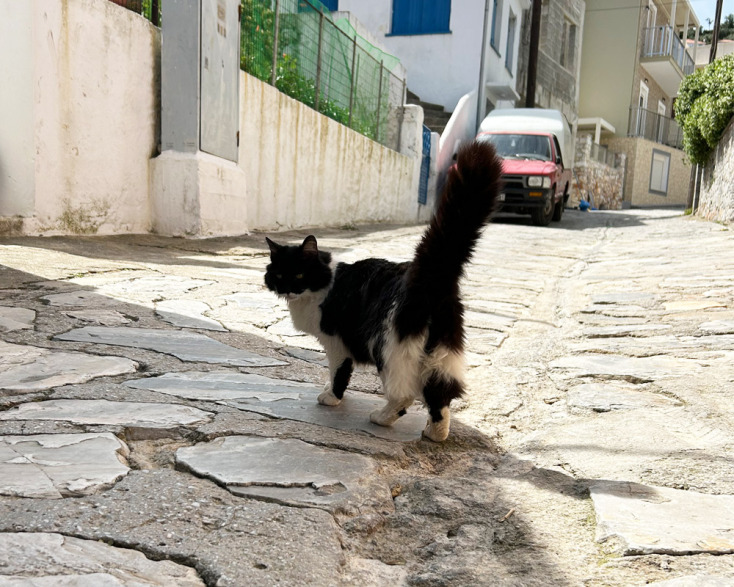 Φεστιβάλ Λογοτεχνίας Σκοπέλου