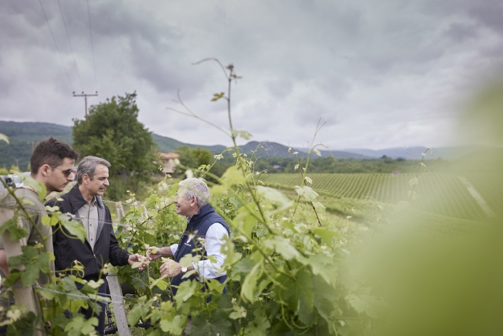 Κυριάκος Μητσοτάκης: Στο κτήμα «Κυρ-Γιάννη» με τους Γιάννη και Στέλιο Μπουτάρη - Ξεναγήθηκε στους χώρους του πρότυπου οινοποιείου. 