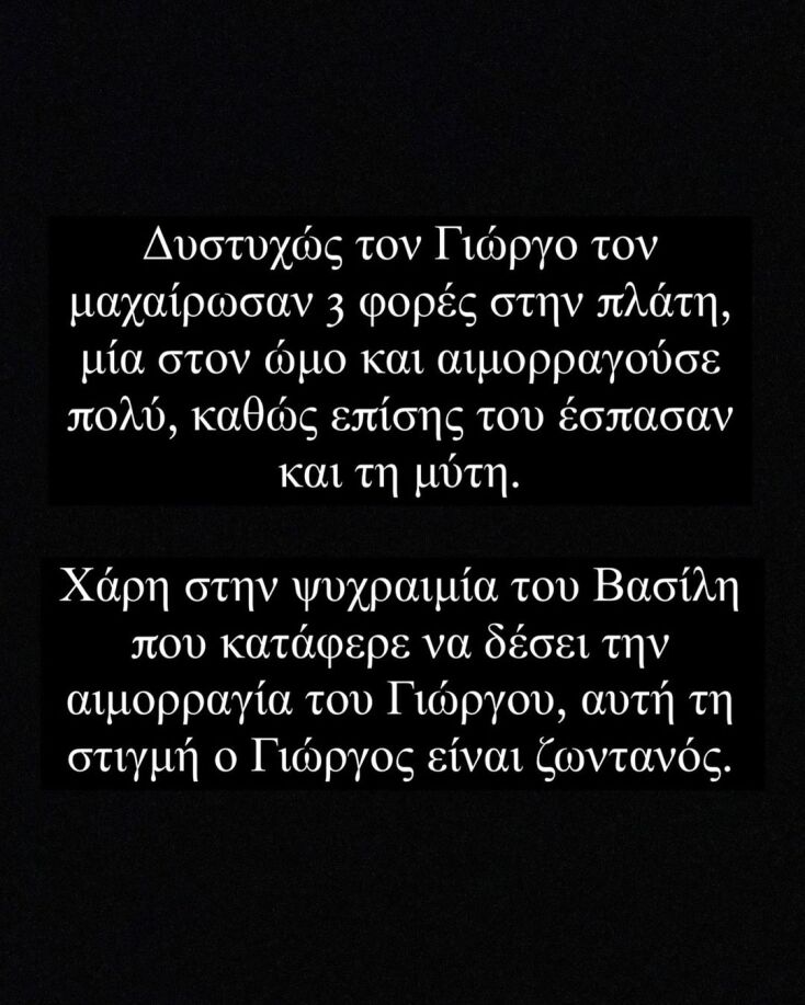 Άγνωστοι επιτέθηκαν και μαχαίρωσαν εθελοντές που καθάριζαν την Πάρνηθα - Η καταγγελία τους και τα ντοκουμέντα του αιματηρού επεισοδίου