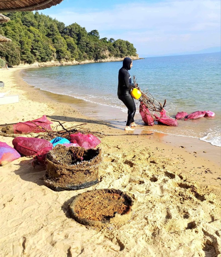 The Skiathos Palace Hotel: Παλάτι - φύλακας του περιβάλλοντος