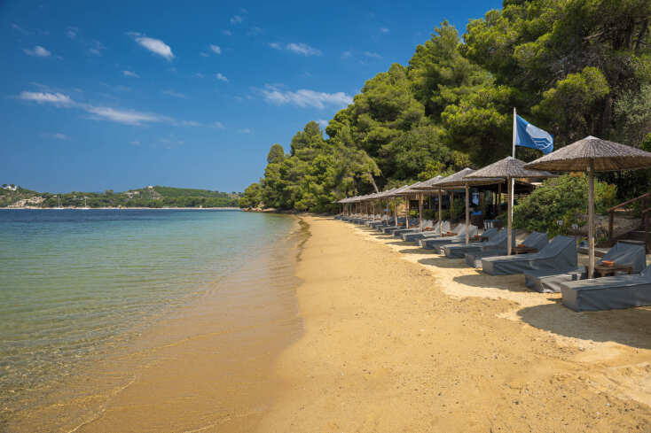 The Skiathos Palace Hotel: Παλάτι - φύλακας του περιβάλλοντος