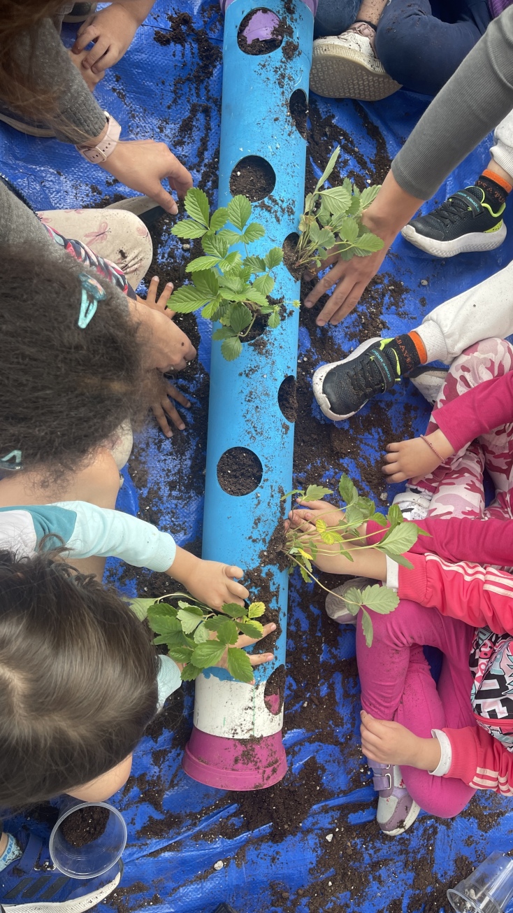 Αειφόρο 2ο Νηπιαγωγείο Χολαργού