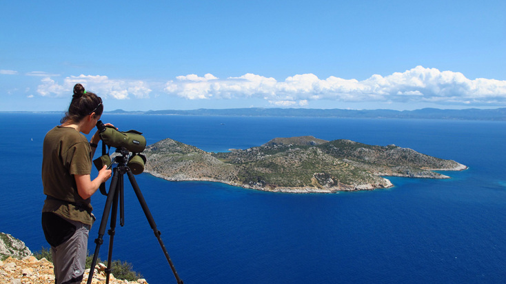 © Victoria Saravia / Ελληνική Ορνιθολογική Εταιρεία