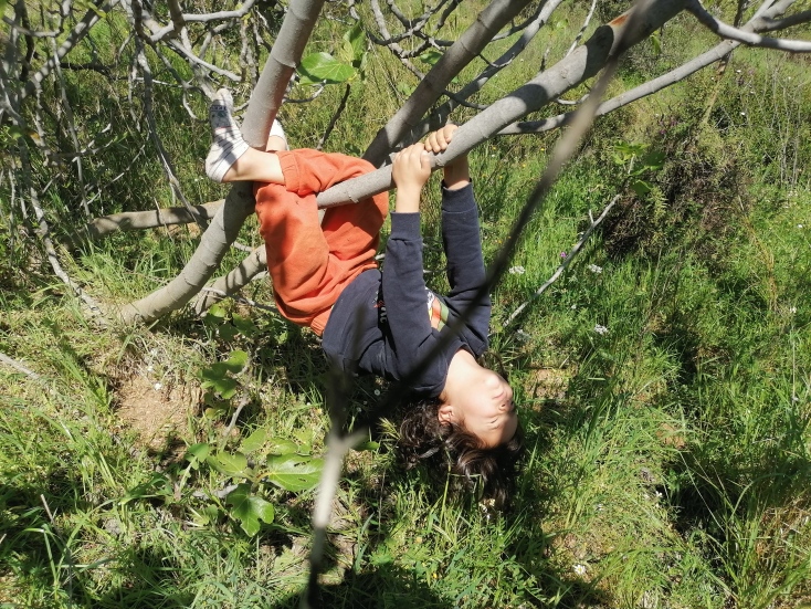 Σχολείο του Δάσους στη Σταμάτα